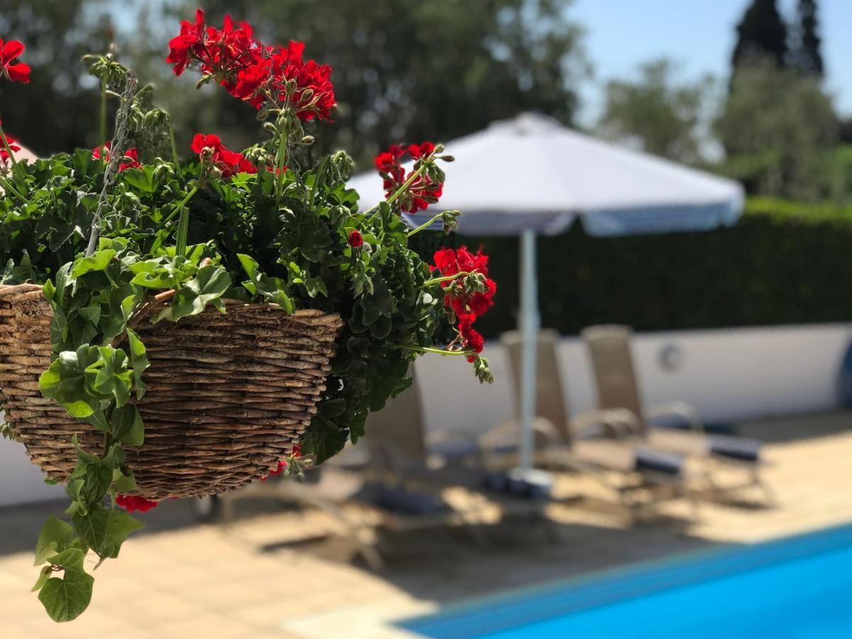 Villa Elia Bed And Breakfast Kiti 외부 사진