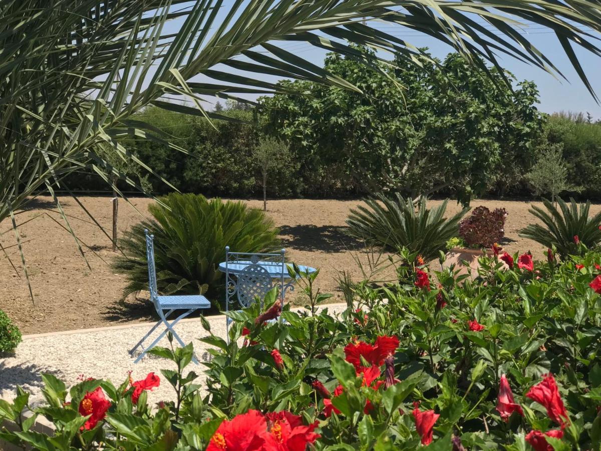 Villa Elia Bed And Breakfast Kiti 외부 사진